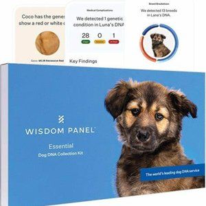 Wisdom Panel Essential Breed Identification DNA Test for Dogs
